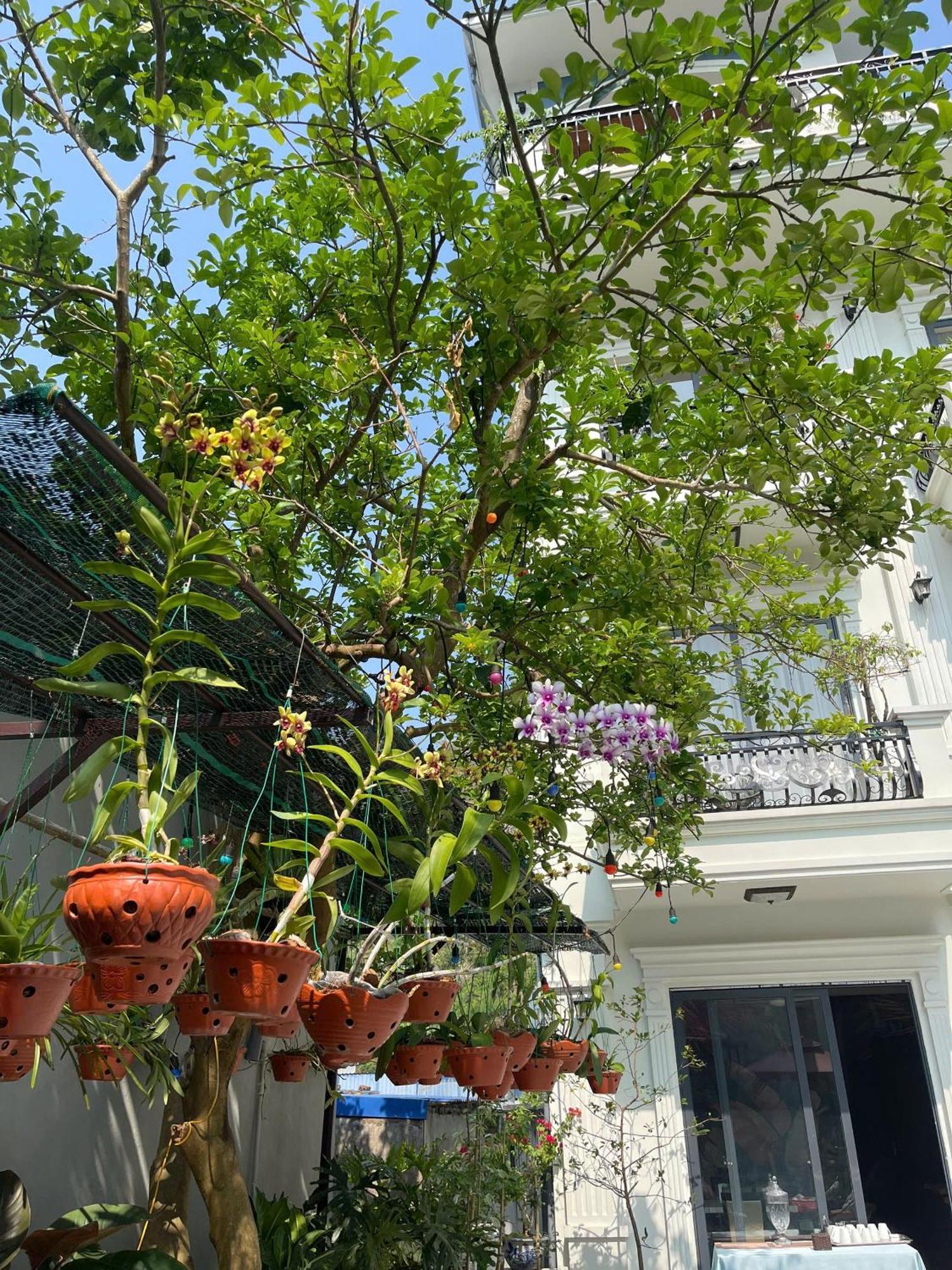 Lynh'S Villa Dong Khe Sau ภายนอก รูปภาพ